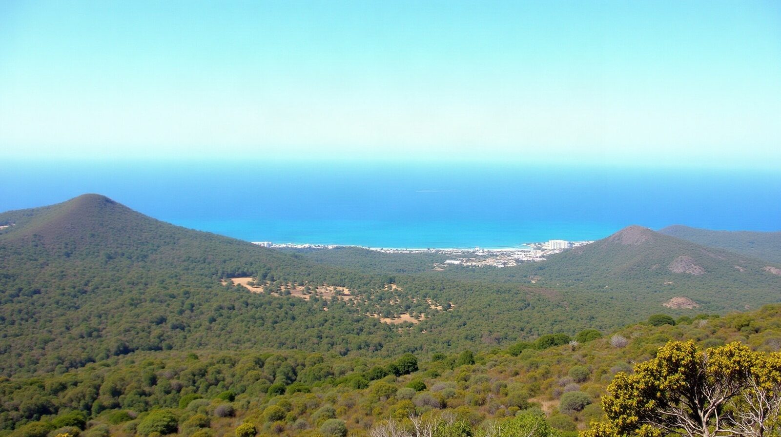 Plateau calcaire de la Grande-Terre avec champs de canne et mer turquoise à l'horizon
